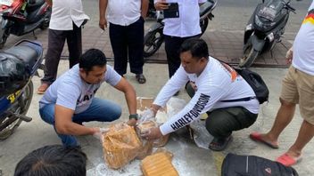 7 Kg Of Cannabis Stored In Cardboard From Medan Successfully Thwarted Circulating In Bali