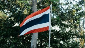 Thailand Serang Perbatasan Kamboja, Memanas Lagi Usai Didamaikan Trump