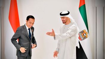 Jokowi And The President Of The UAE Discussing On Ukraine And Russia