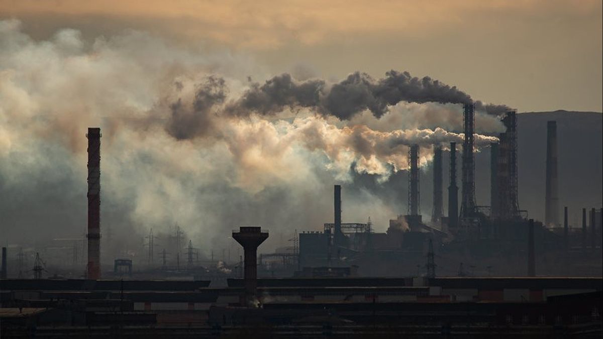 Ahead Of September, OJK Is Increasingly Intensifying The Carbon Exchange