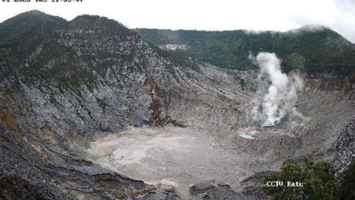 Lonjakan Signifikan, Badan Geologi Catat Gempa di Gunung Tangkuban Parahu Meningkat