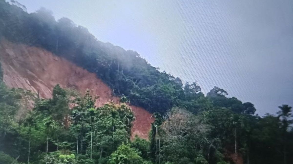 7 Orang Tertimbun Longsor di Talamau Sumbar, 1 Selamat