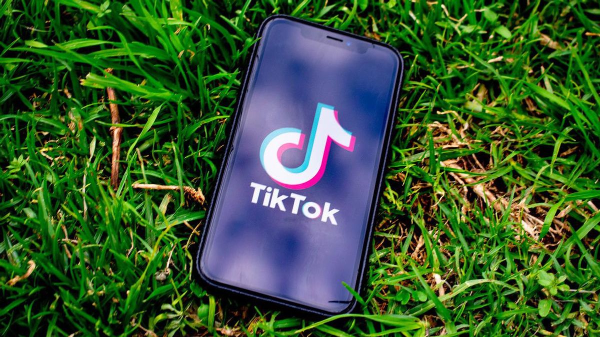  TikTokユーザーは自分のプロフィールにアクセスした人なら誰でも見ることができるようになりました。