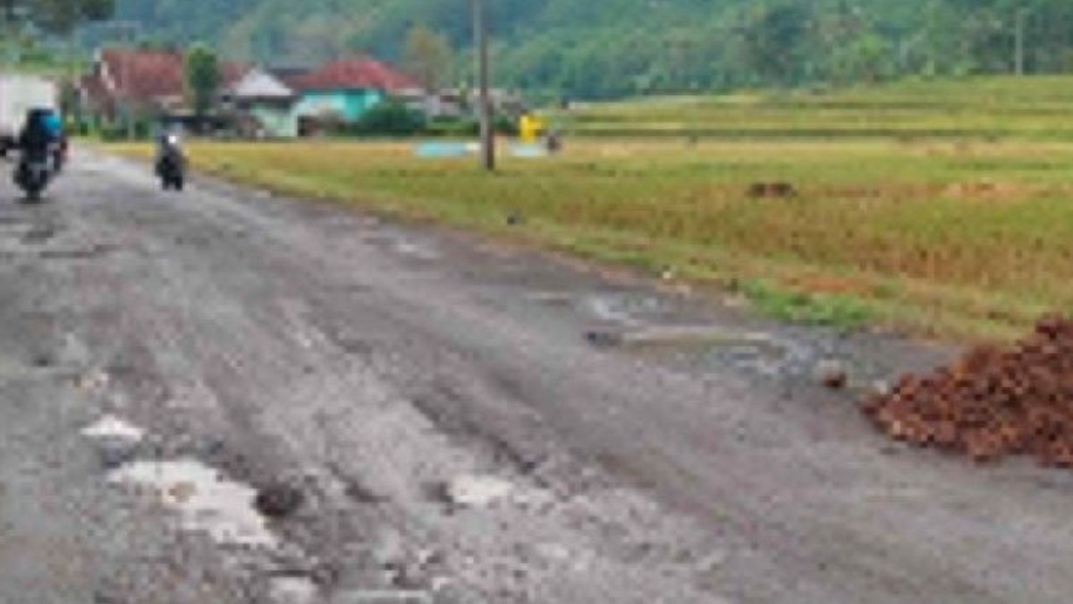 Cianjur Regency Government Prioritizes Road Construction To Tourist Places