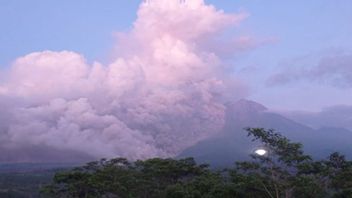 BNPB:スメル山噴火後も699人の住民が避難