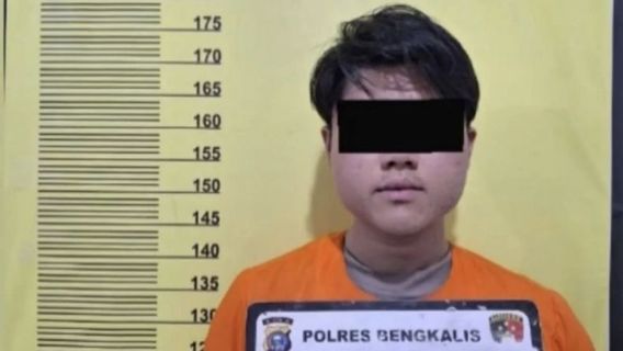 Bengkalis Pasang Bendera Merah Putih的棕油员工的供词:让Sajalah狗是独立的