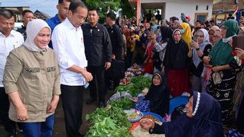 参观Bulukumba Sulsel的市场,Jokowi Borong Fruit and Sowers