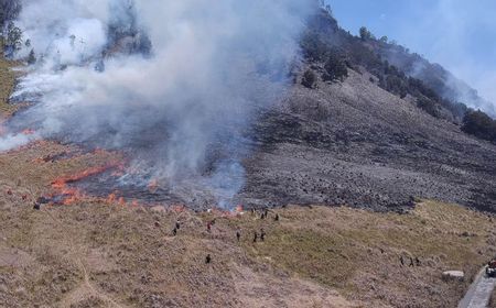 Karhutla, Balai Besar TNBTS Tutup Kawasan Penanjakan Bromo