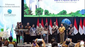 IDX记录,2024年5月,碳交易所交易额达到1.46亿印尼盾