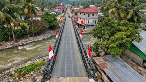 Perkuat Akses Daerah dan Penanganan Bencana, Presiden Prabowo Resmikan 218 Jembatan