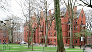 fédéral suspendre le président Trump contre les étudiants de Harvard