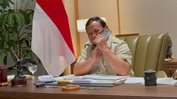 Presiden Prabowo Subianto Terima Telepon dari Presiden AS Donald Trump, Bahas Kerja Sama dan Perdamaian Global