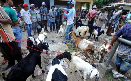 Keracunan Massal Gulai Kambing di Gamping, Pemkab Sleman Pastikan Tanggung Biaya Perawatan Korban