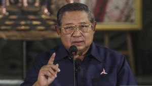 SBY Ingatkan Masyarakat Pilih Pemimpin yang Punya Visi dan Misi, Agar Tak Seperti Pilih Kucing dalam Karung