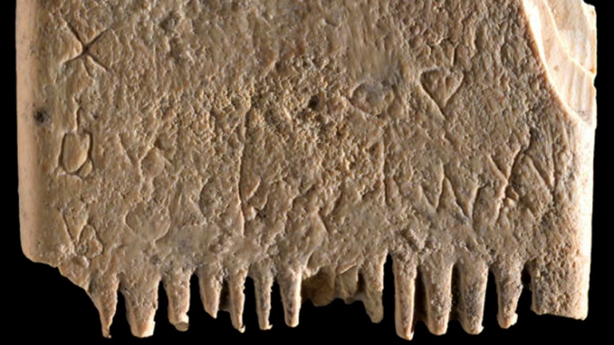 考古学者はメッセージを含む古代の櫛を見つけます