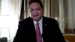 Fitch Ratings Soroti MBG, Airlangga Sebut Investasi Jangka Panjang