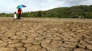 BMKG Prediksi Kemarau 2026 Mulai April, Puncak Agustus