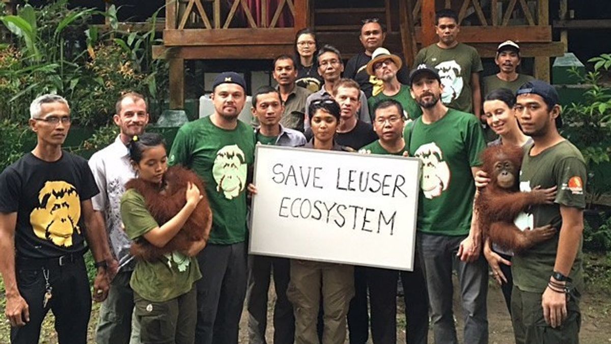 Activism Leonardo DiCaprio: Action Of Hollywood Actor Criticism Of Forest Damage In Indonesia