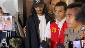 Vadel Badjideh Mendadak Minta Maaf Usai Sidang Kasus Asusila, Soal Apa?