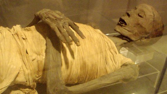 This Hospital In Milan Uses CT Scan To Reveal The Secrets Of Egyptian Mummy