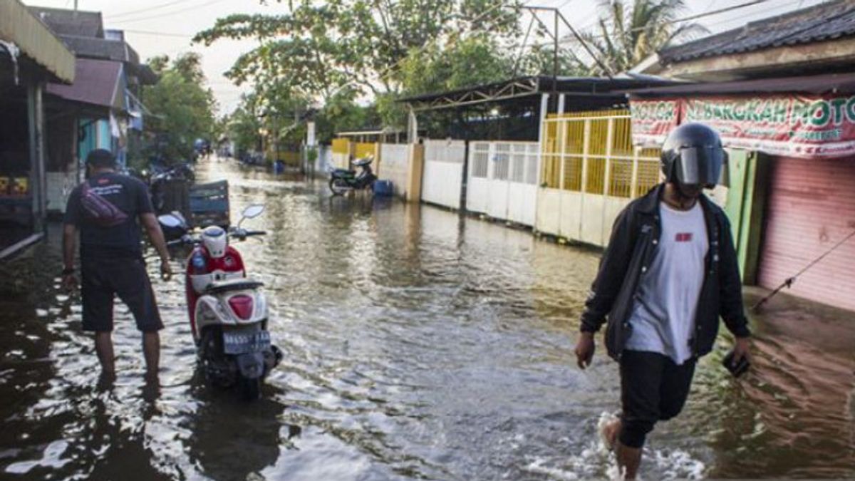 Banjir Rob di Banjarmasin Sebatas Mata Kaki, BPBD Tetap Waspada Pantau Ketinggian Air Sungai   