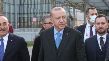 الرئيس أردوغان للمواطنين الأتراك: يرجى البقاء في الفنادق ، يتم إعداد الأطعمة المجانية
