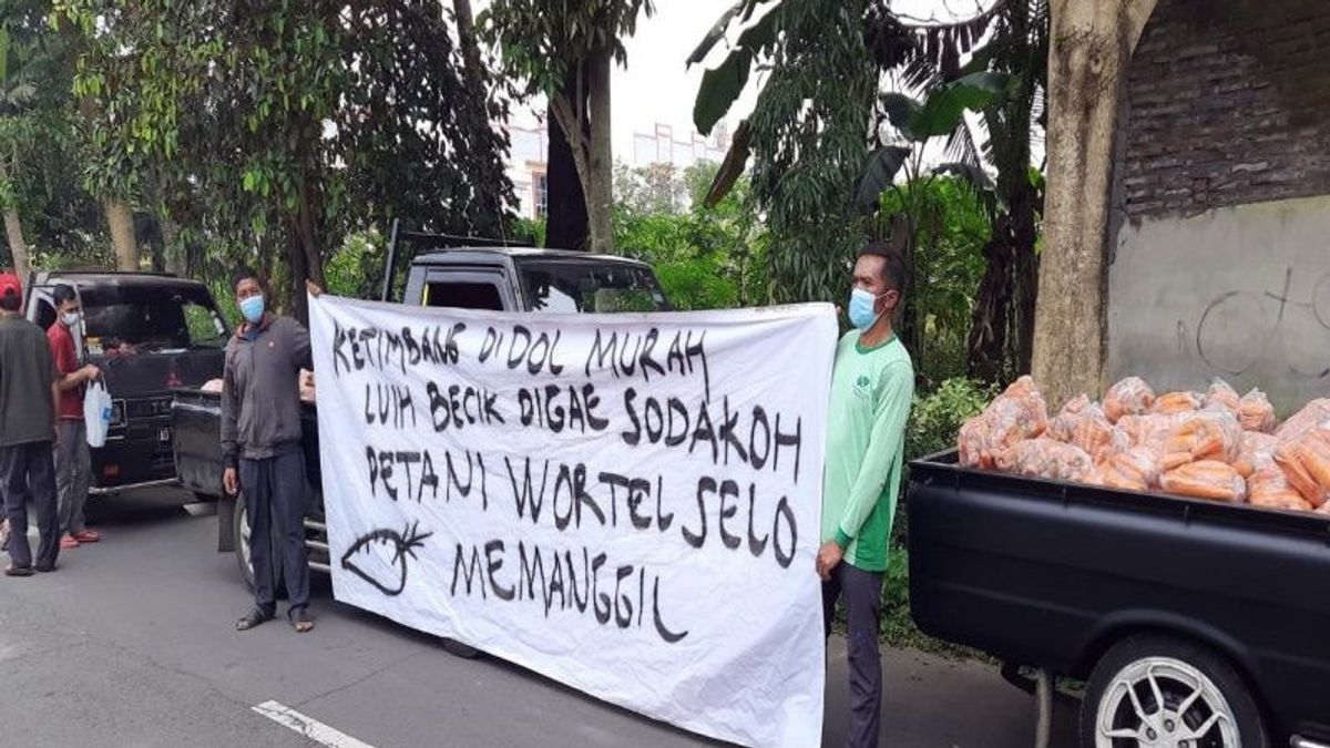 Harga Anjlok, Petani di Boyolali Gelar Aksi Jual Wortel Bayar Seikhlasnya