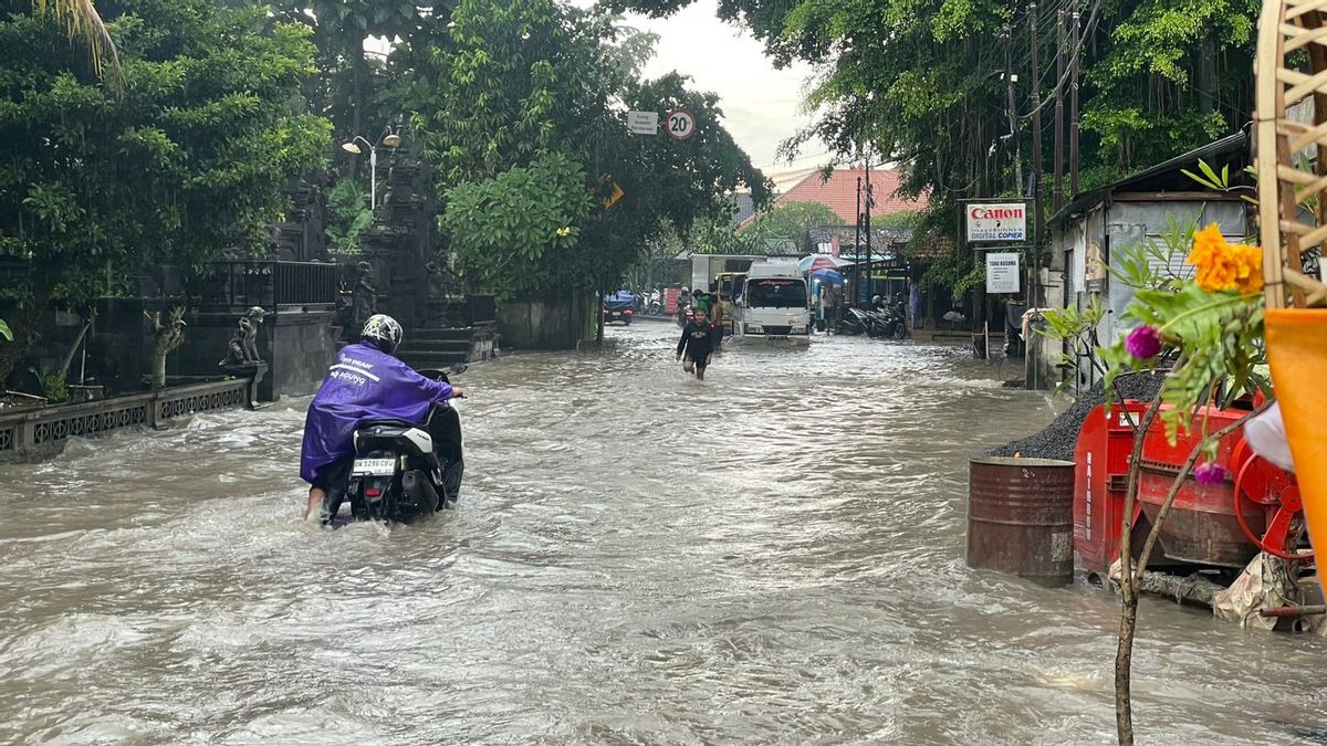 Hujan Lebat Disertai Angin Kencang di Bali, Pohon Tumbang, Ada Rumah Tersambar Petir