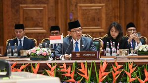 Indonesian Minister of Foreign Affairs: BRICS is Responsible for Playing an Active Role while Building an International Order that Contributes to Chaos