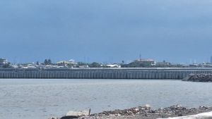 Tanpa Uang Negara! Proyek Pelabuhan KCN Bisa Gerakkan Ekonomi Nasional!