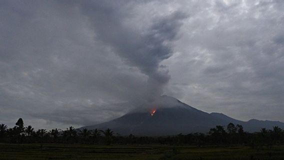 Status Gunung Semeru Masih Waspada, Masyarakat Diimbau Tak Mendekat