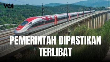 Danantara Terkait Keterlibatan Pemerintah Bahas Skema Pembayaran Whoosh: Sesuai Arahan Presiden