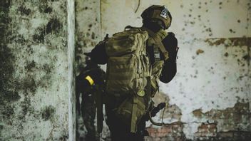 Les rebelles STC prennent le contrôle des deux plus grandes provinces du Yémen riches en pétrole