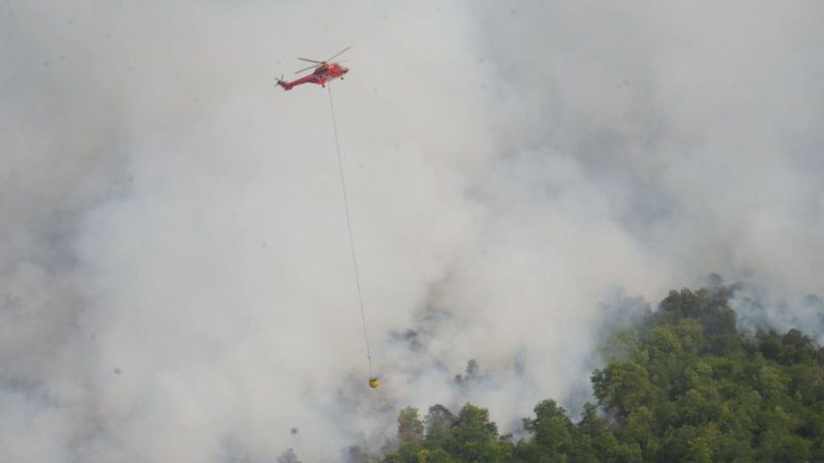 ベンカリスの森林火災と土地火災を消火する合同チーム