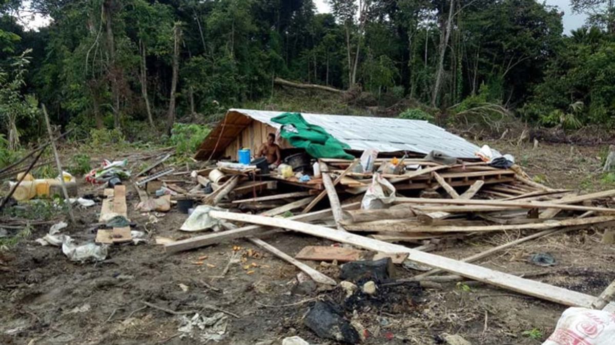 Farmers' Houses In Aceh Destroyed By A Herd Of Elephants