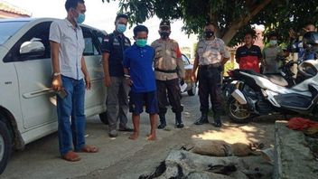 Police: Maling Goat Modus Gorok S’avère Se Produire Fréquemment Dans La Régence De Bekasi