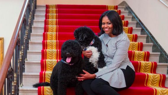 Michelle Obama Blak-blakan soal Terapi dan Fase Baru dalam Hidupnya