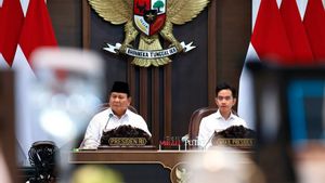 Setahun Kekuatan Berdaulat: Cahaya Keadilan dan Transisi Hijau di Bawah Kepemimpinan Prabowo–Gibran