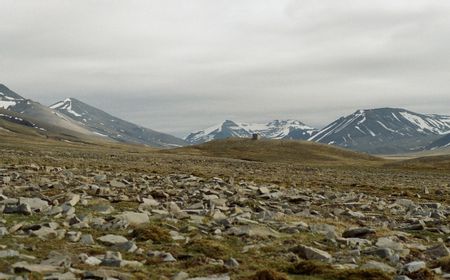 Ilmuwan Cambridge Temukan DNA Berusia Dua Juta Tahun di Greenland