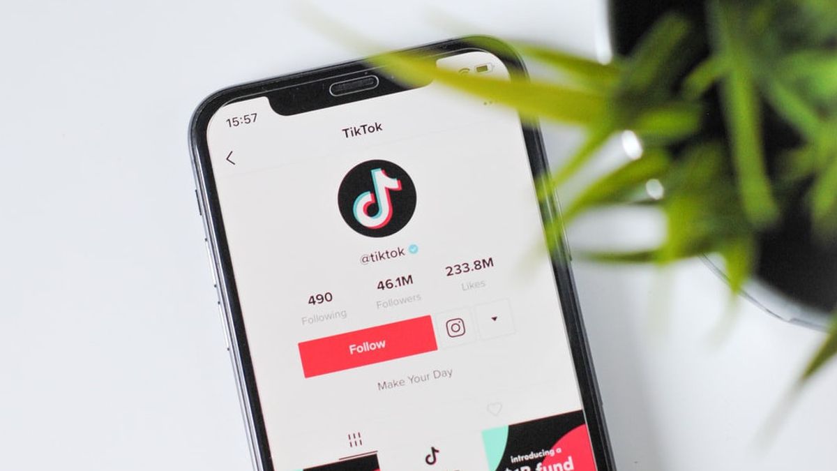 TikTok Becomes New Nest Of Misinformation In The US Presidential Election