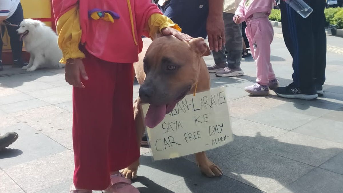 Tetap Dilarang Masuk di Area CFD, Komunitas Dog Lover Akan Gelar Aksi