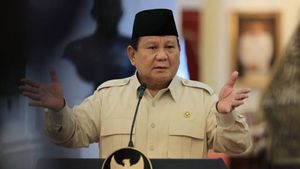 Prabowo Undang Rumah Sakit dan Kampus Eropa Masuk Indonesia