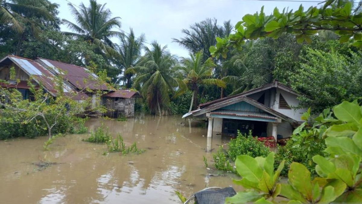886 Rumah Warga di Bengkulu Terendam Banjir Akibat Intensitas Hujan Tinggi