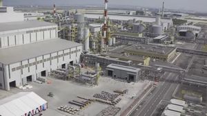 KESDM Sebut Smelter Freeport Berhenti Beroperasi Akhir Oktober akibat Tambang Longsor