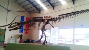 Fosil Patagonia Ungkap Dinosaurus Jurassic Sudah Miliki Mentalitas Kawanan