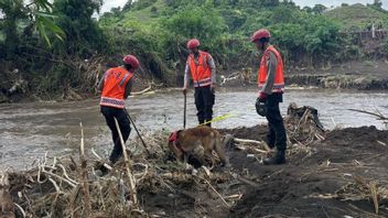  Cari 5 Korban Hilang Banjir Bandang Bima, Polda NTB Kerahkan Anjing K9 