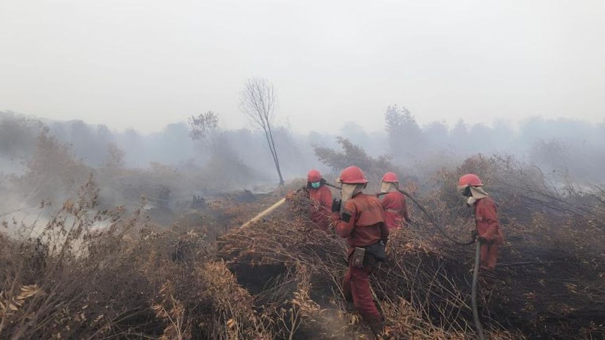 BRIN: Kegiatan Antropogenik Picu Kebakaran Hutan dan Lahan