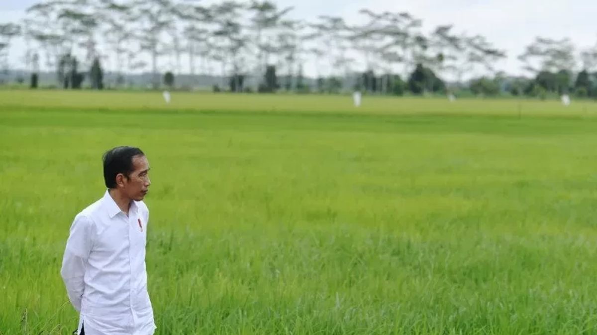 Jokowi Dijadwalkan Buka Penas Tani XVI Sumbar yang Diikuti 12 Profesi Terkait Petani dan Nelayan 