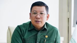 Bos Bapanas Tawarkan Beras SPHP untuk Program Makan Gratis