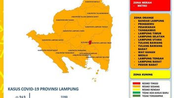 Catatan Dinkes Bandar Lampung, Ada 236 Pasien Baru Konfirmasi Positif COVID-19